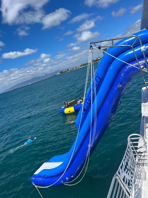 Honolulu: Deluxe Waikiki Snorkel and Wildlife Cruise - Coastal cruise near Diamond Head: turtles, dolphins, and winter whales