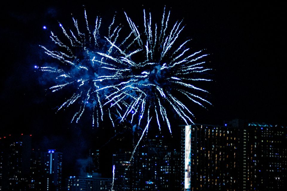 Honolulu: Friday Night Fireworks Cruise with Music - Wildlife spotting: whales, dolphins, turtles (seasonal odds)