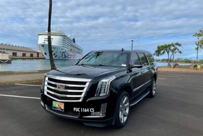 Honolulu Harbor Cruise Terminal Transfer by Luxury Vehicle - Cruise Terminal Piers 2, 10, and 11: The Meeting Points That Keep the Day Moving