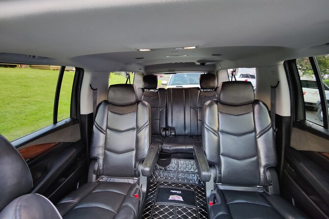 Honolulu Harbor Cruise Terminal Transfer by Luxury Vehicle - Luggage Help: The Not-So-Optional Part