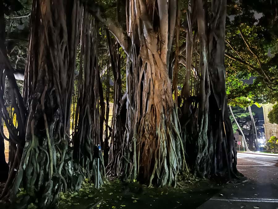 Honolulu Haunts: Ghosts and Spirits Walking Tour - Price and Value: Is $27 Worth It?