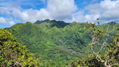 Honolulu: Hawaiian Volcanic Rainforest Hike - The rainforest hike: what the 600-foot climb really feels like