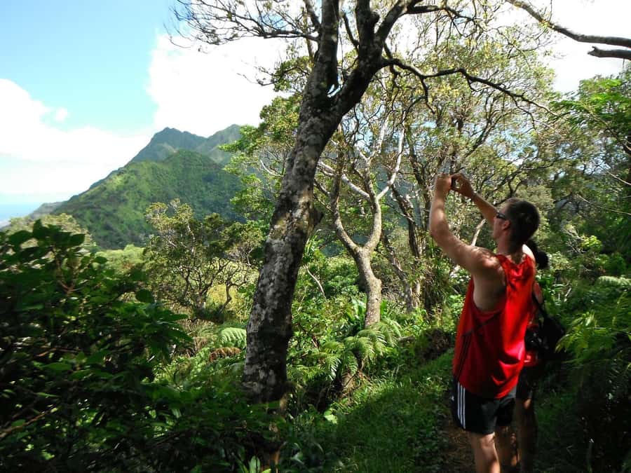 Honolulu: Hawaiian Volcanic Rainforest Hike - Diamond Head and the Pacific: panorama moments that hit at the right time