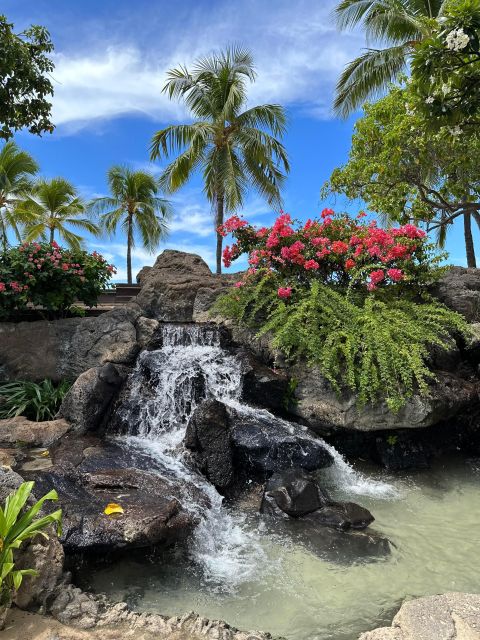 Honolulu: Highlights of Oahu Small Group Tour - Who this Oahu tour suits best