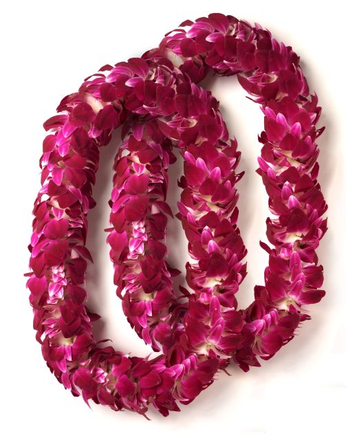 Honolulu Honeymoon Airport Lei Greeting - How to Make This Feel Like a Special Arrival (Not Just Another Stop)