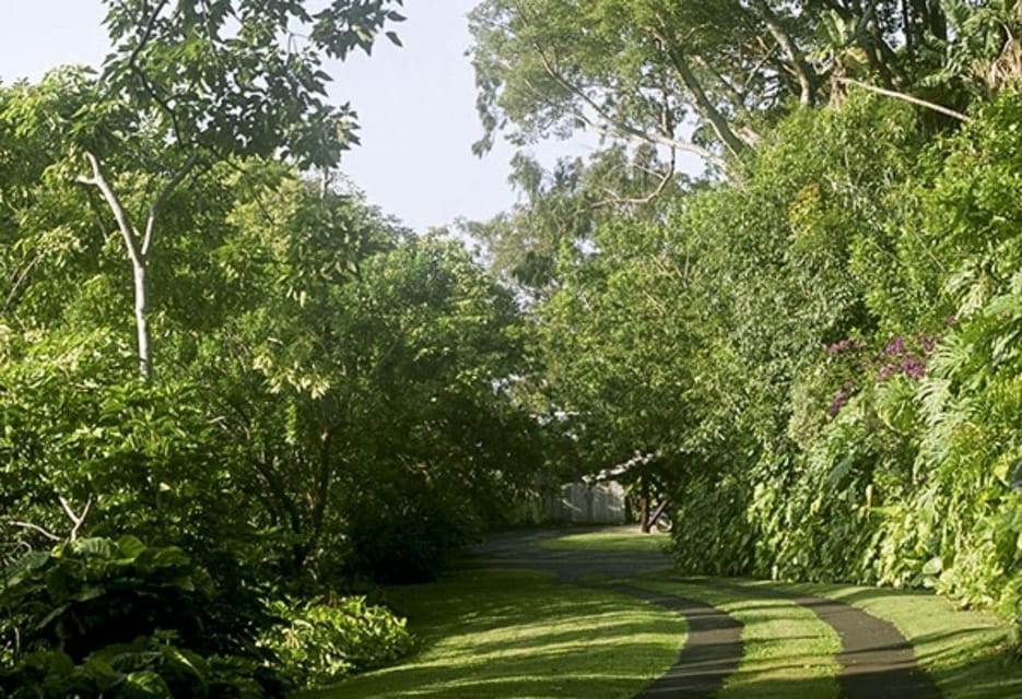 Honolulu: Liljestrand House Architectural Tour - The guide matters: what you should listen for