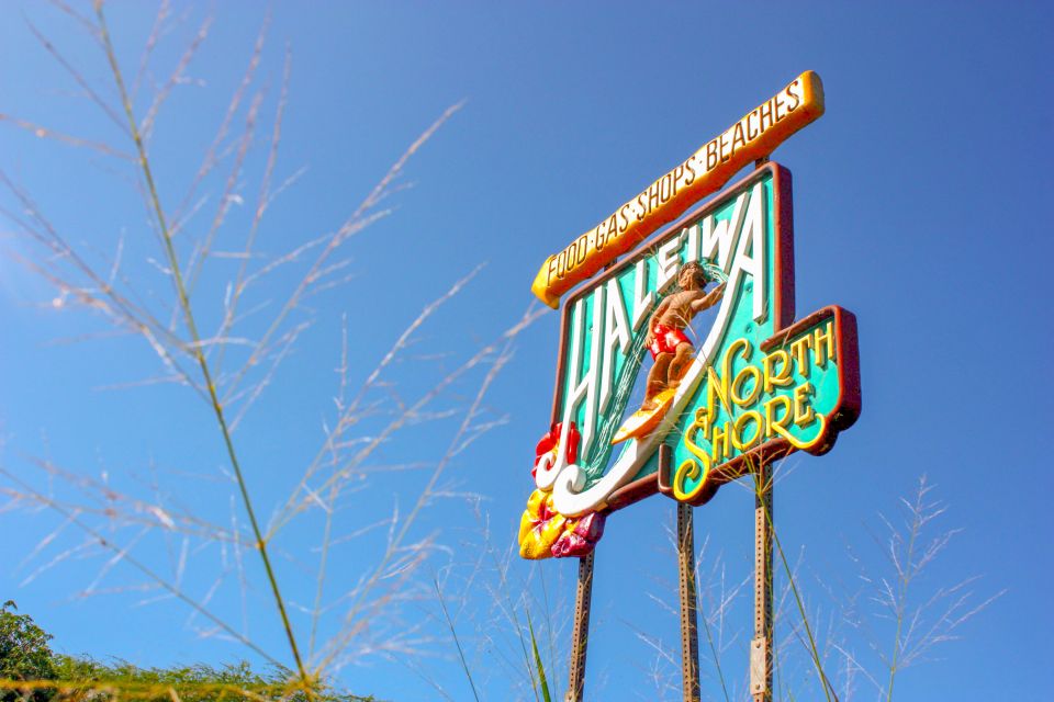 Honolulu: Oahu Island Full-Day Guided Tour by Bus with Lunch - Dole Plantation: pineapples, sugarcane, and what costs extra