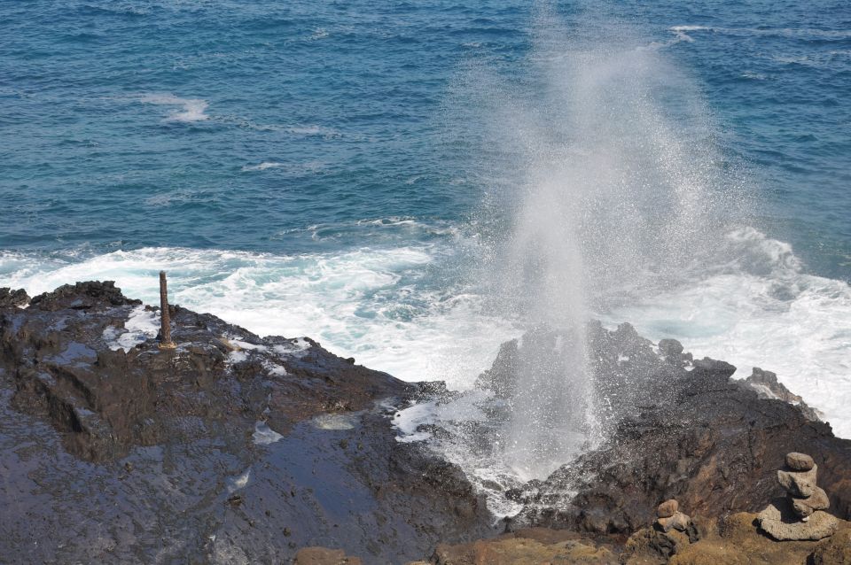 Honolulu: Oahu Island Highlights Tour with Multiple Stops - North Shore Surf Beaches: Where the Island’s Reputation Becomes Real