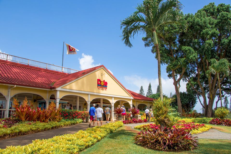 Honolulu: Oahu Sights and Bites Circle Island Foodie Tour - Puaena Point Turtle Viewing and the Dole Pineapple Plantation Finish