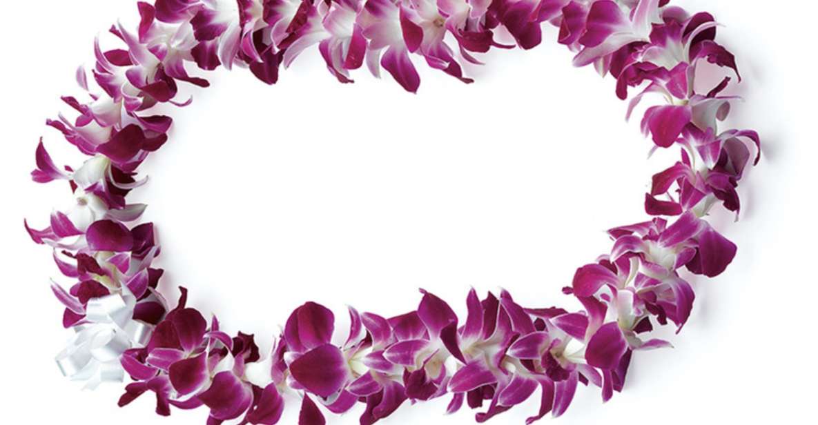 Honolulu: Private Airport Transfer with Arrival Lei Greeting - Quick Hits