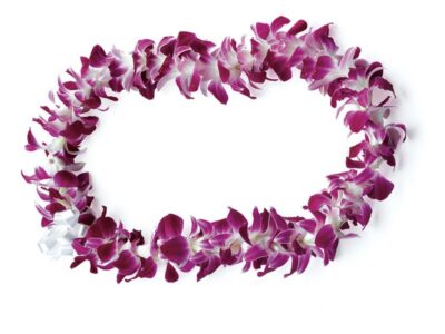 Honolulu: Private Airport Transfer with Arrival Lei Greeting - The Pre-Arrival Text That Keeps Your Pickup Under Control