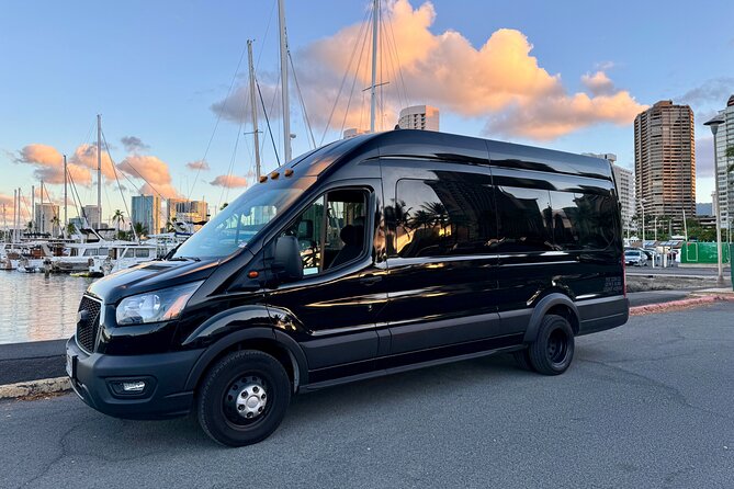 Honolulu Private Transfer: Airport, Port, Hotel (1-12 Passengers) - Private Van From Honolulu Airport to Your Waikiki Hotel