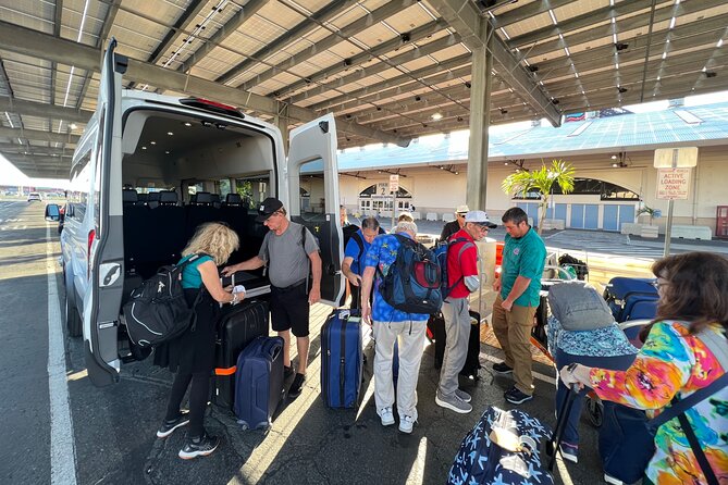 Honolulu Private Transfer: Airport, Port, Hotel (1-12 Passengers) - Who This Honolulu Transfer Fits Best