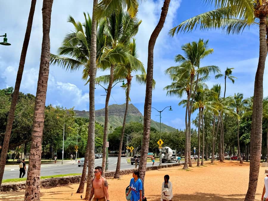 Honolulu: Waikiki Food Tour with Local Guide - Hawaiian BBQ comfort food: where the tour slows down for real flavor