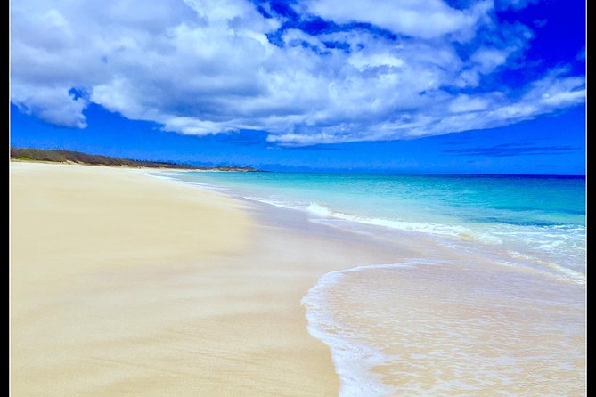Incredible west side hidden gems -PLEASE CONTACT BEFORE BOOKING - Price and what you get for $530 per person