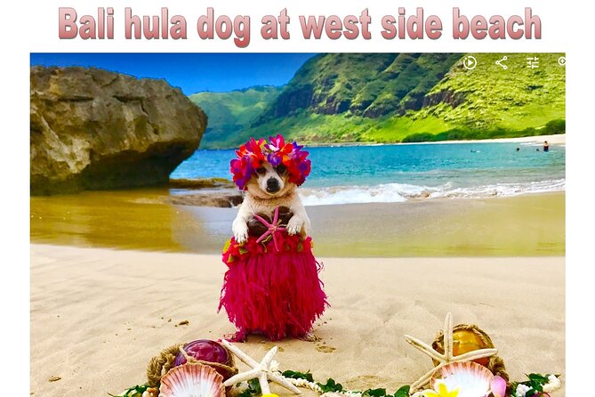 Incredible west side hidden gems -PLEASE CONTACT BEFORE BOOKING - Should you book this west Oahu private tour?