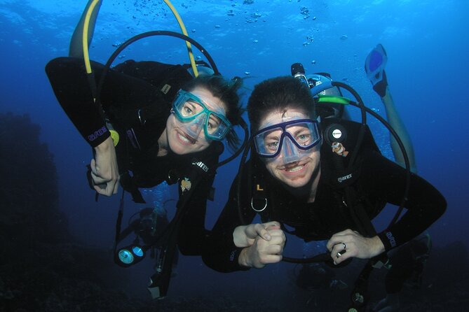 Intro/Refresher Dive Swim Ability Required - Key points that matter before you go