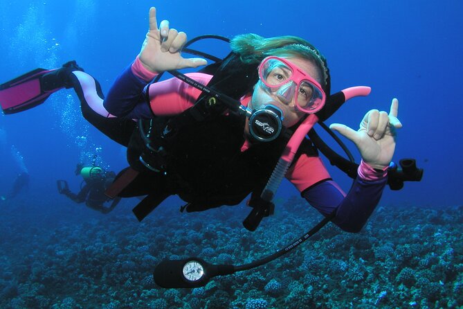 Intro/Refresher Dive Swim Ability Required - Price and what $239 buys you in Maui