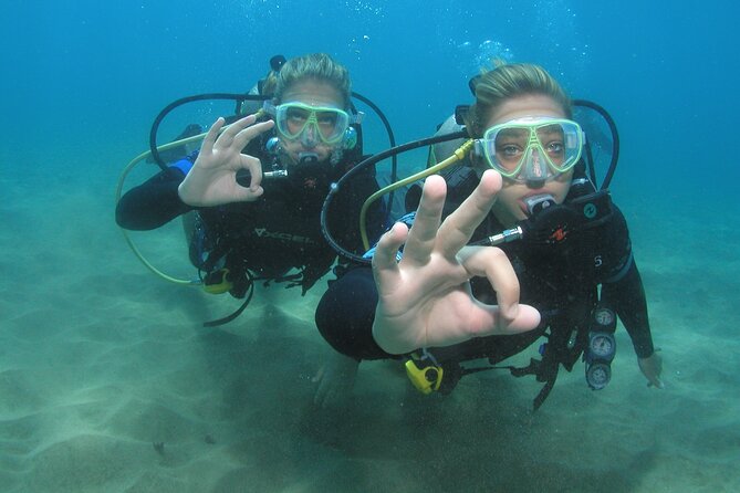 Intro/Refresher Dive Swim Ability Required - Who this is for: strong swimmer, 12+, and healthy enough to answer medical questions