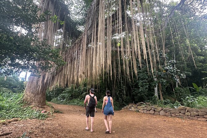 Island of Maui Customized Half Day Tour - The value of a private guide who talks beyond the view