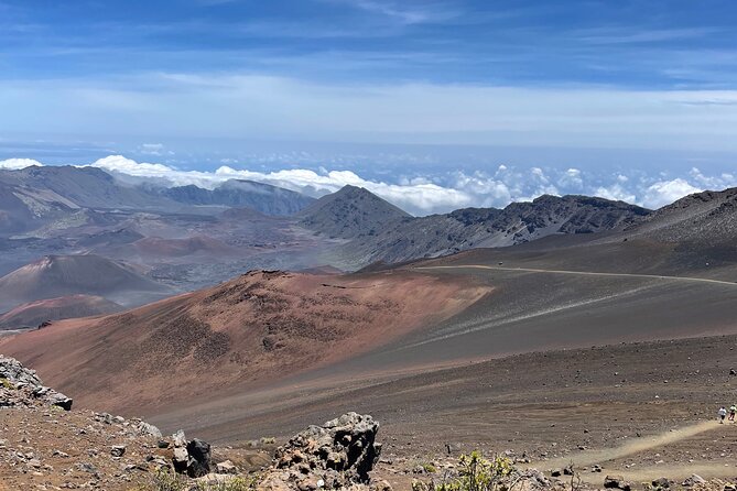 Island of Maui Customized Half Day Tour - Choosing your Maui flavors: Road to Hāna, Haleakalā, and ocean time