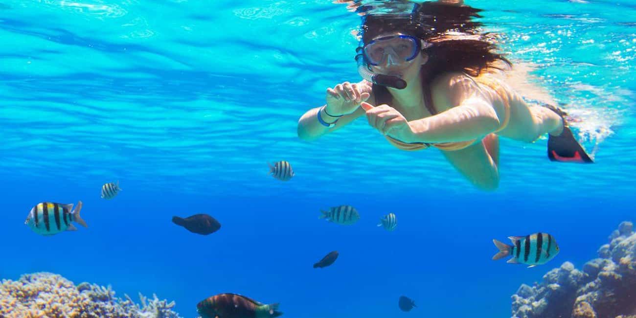 Ka'anapali Beach: Coral Reef Snorkel and Turtle Spotting - Cruise to Mala Wharf (or Another West Maui Spot That Day)