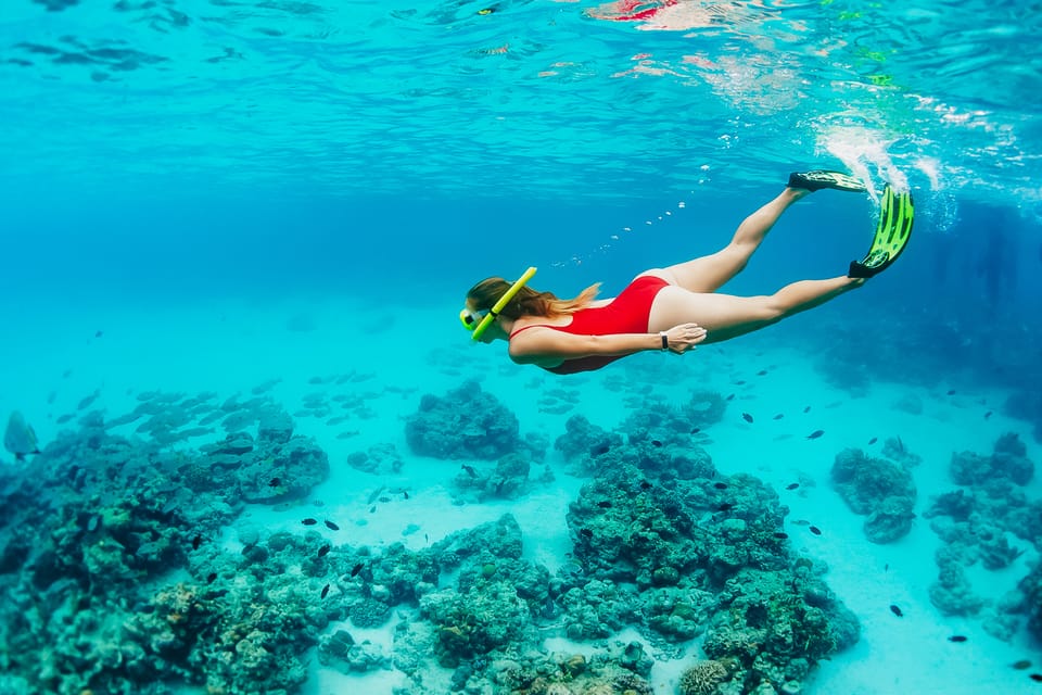 Ka'anapali Beach: Coral Reef Snorkel and Turtle Spotting - Snorkeling With Hawaiian Green Sea Turtles: What You’ll Actually See