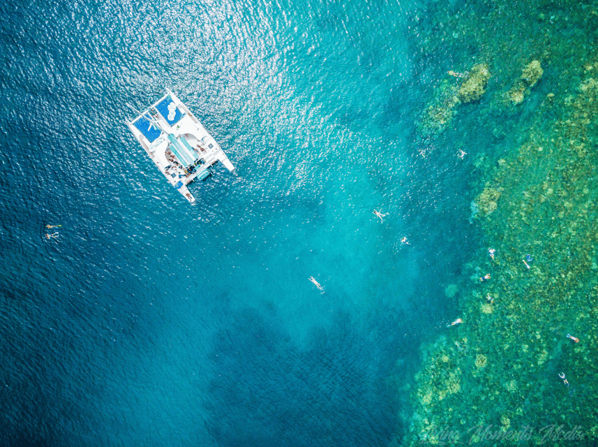 Ka'anapali Beach: Coral Reef Snorkel and Turtle Spotting - The Pace: How the Crew Keeps Beginners Comfortable in the Water