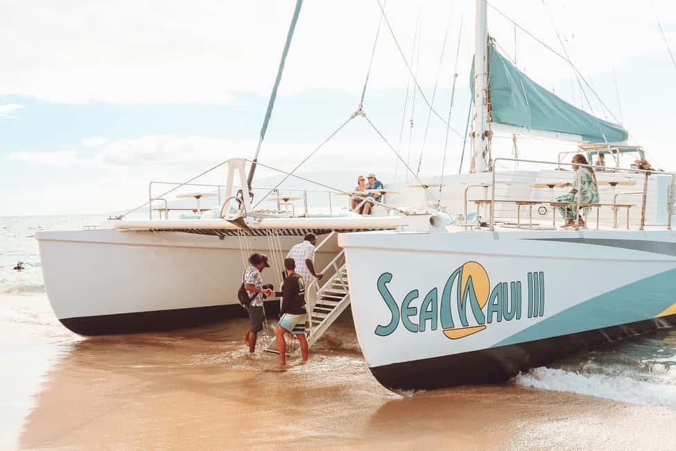 Ka'anapali Beach: Coral Reef Snorkel and Turtle Spotting - Gear and Safety: The Stuff You Should Know Before You Go In
