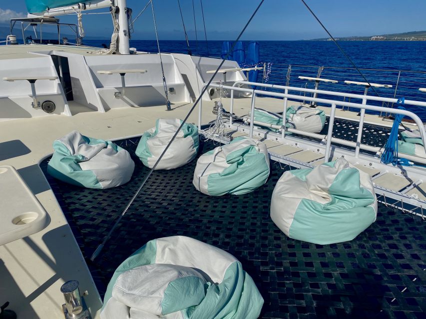 Kaanapali: Sunset Dinner Catamaran Cruise With Drinks - The sailing part: tradewinds, shore views, and ocean animal spotting