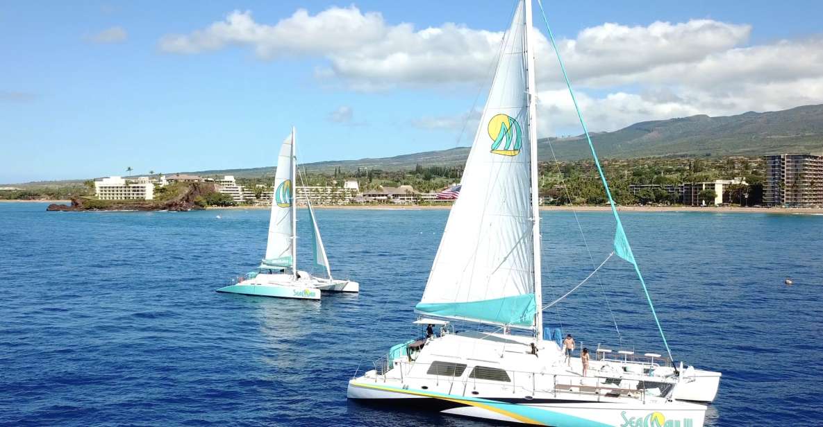 Kaanapali: Sunset Dinner Catamaran Cruise With Drinks - Who should book this cruise, and who should skip it