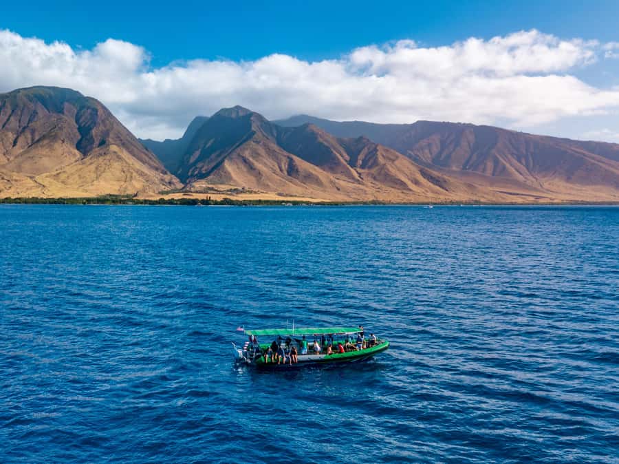 Ka'anapali: Whale Watching Boat Tour - Key Things You’ll Notice On This Ka’anapali Whale Watching Trip