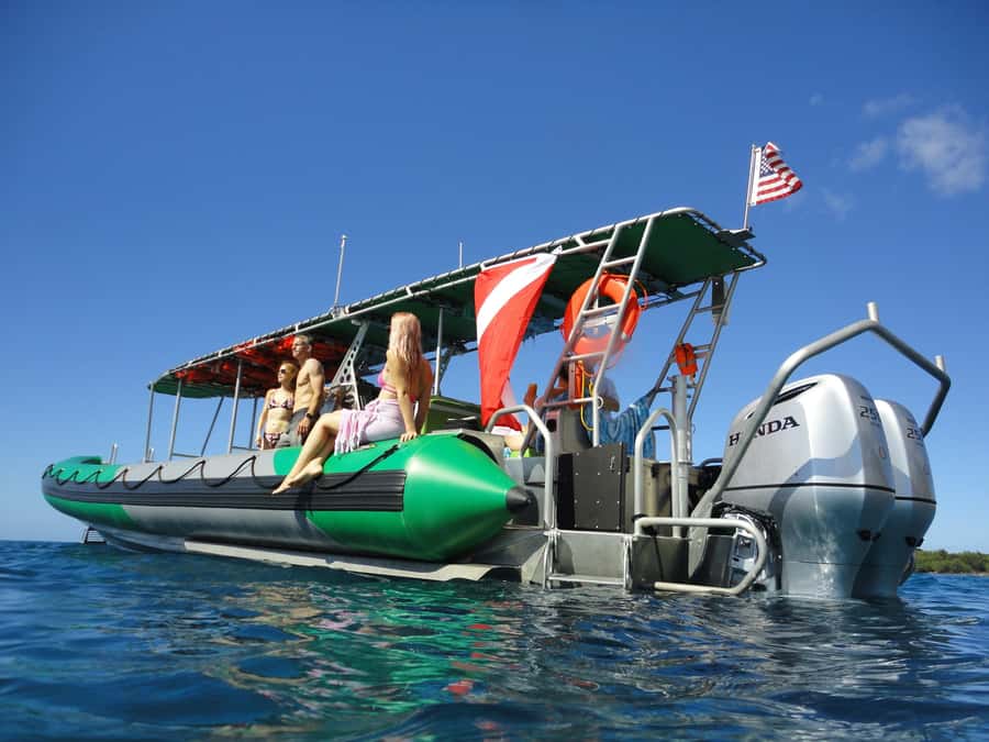 Ka'anapali: Whale Watching Boat Tour - Getting on the Magic Merman: Ka’anapali’s Easy Start