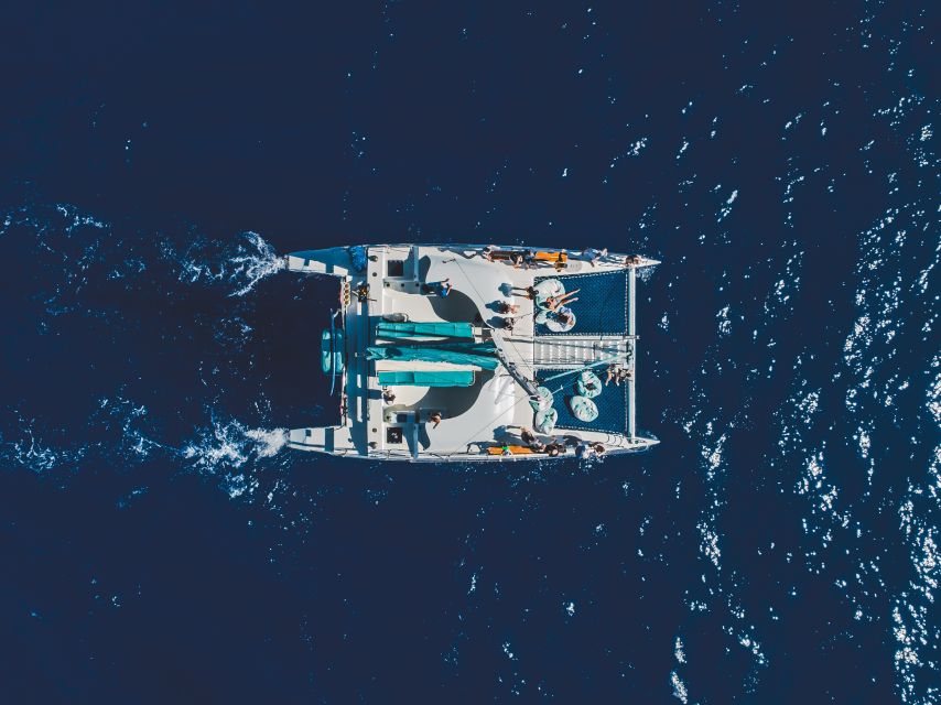 Kaanapali: Whale Watching Cruise with Open Bar - Key moments worth aiming for