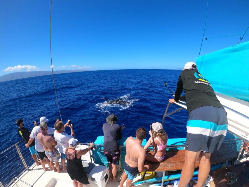 Kaanapali: Whale Watching Cruise with Open Bar - Boarding a comfortable catamaran: what two hours feels like