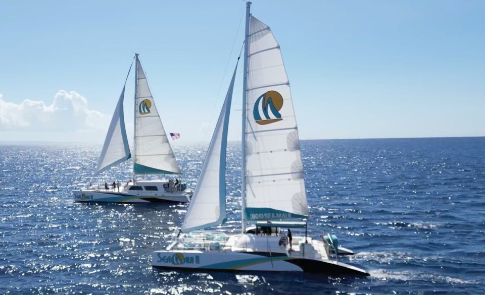 Kaanapali: Whale Watching Cruise with Open Bar - How the hunt works: following active pods for breaching and tail-slapping
