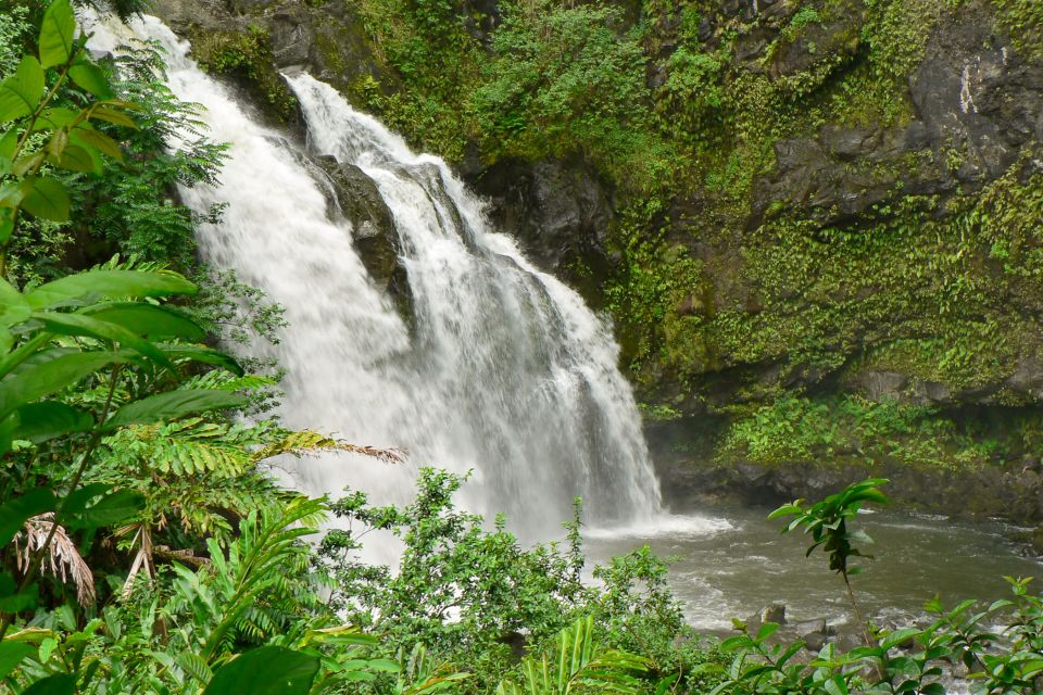 Kahului: Guided Rainforest and Waterfall Walk - Kahului Rainforest Walk: What This Tour Is Really About