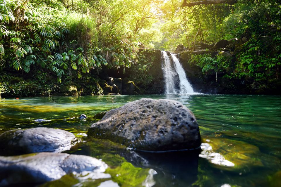 Kahului: Guided Rainforest and Waterfall Walk - Two Waterfalls and a Natural Swim Plan