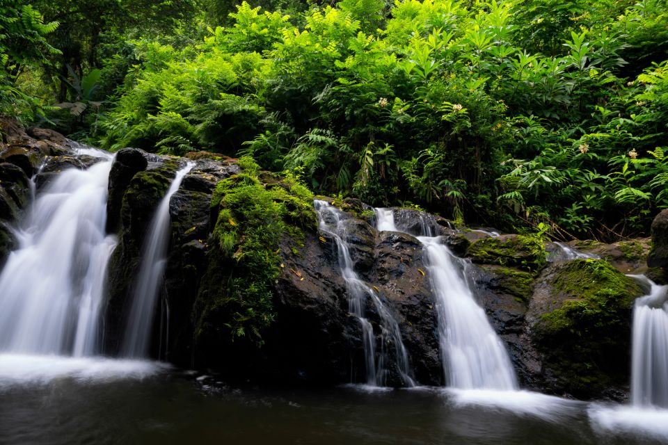 Kahului: Guided Rainforest and Waterfall Walk - What to Bring (and Why It Changes Your Experience)