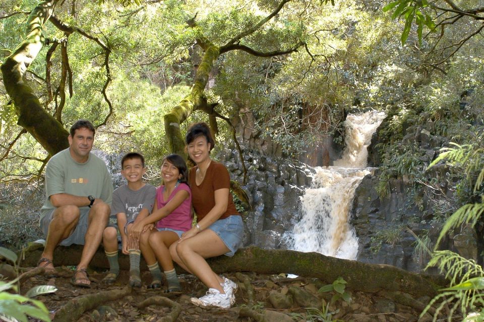 Kahului: Guided Rainforest and Waterfall Walk - Price Check: Is $120 a Fair Value for 3 Hours?