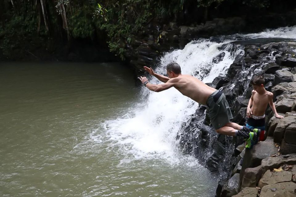 Kahului: Guided Rainforest and Waterfall Walk - Who This Tour Suits Best on Maui