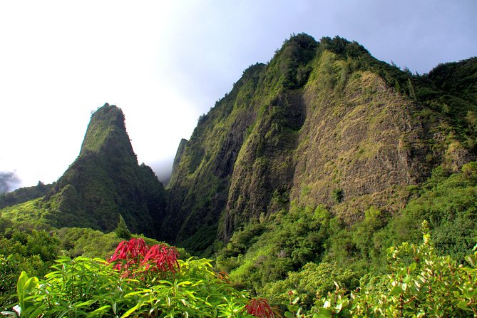 Kahului Shore Excursion: Private Tropics of Maui & Rainforest - A private 10:00 AM road trip that actually saves your energy