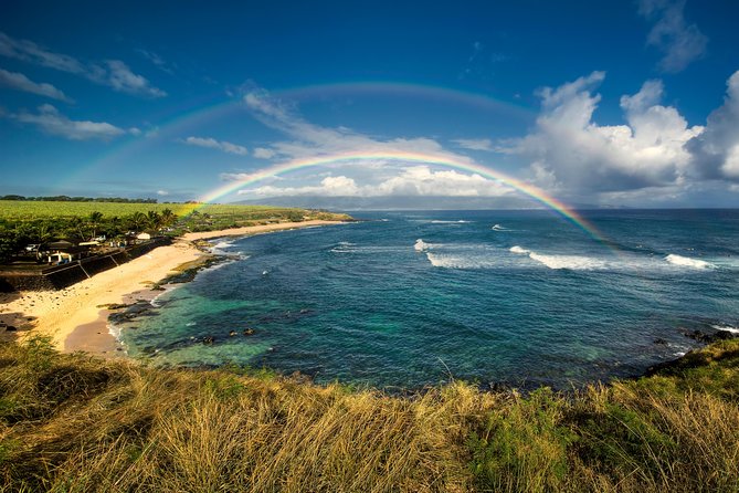 Kahului Shore Excursion: Private Tropics of Maui & Rainforest - Ho’okipa Beach Park: sea cliffs, surfers, and chances to spot sea turtles