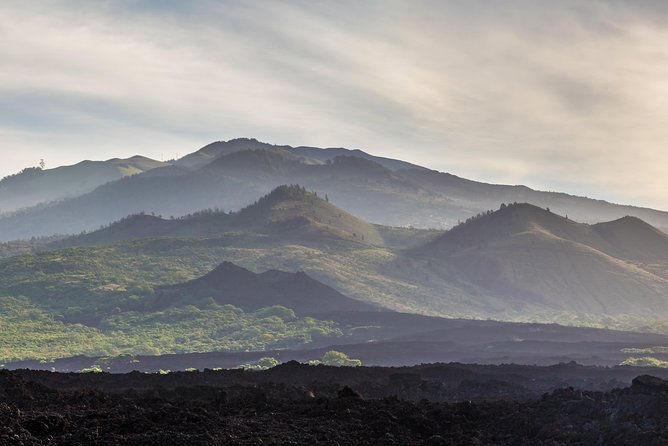 Kahului Shore Excursion: Private Tropics of Maui & Rainforest - Maui Tropical Plantation: easy walking, sugar-era details, and no tram ride