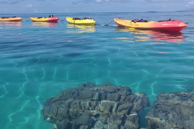 Kayak and Snorkel: Maui West Shore - Snorkeling over coral reefs: turtles, fish, and staying comfortable