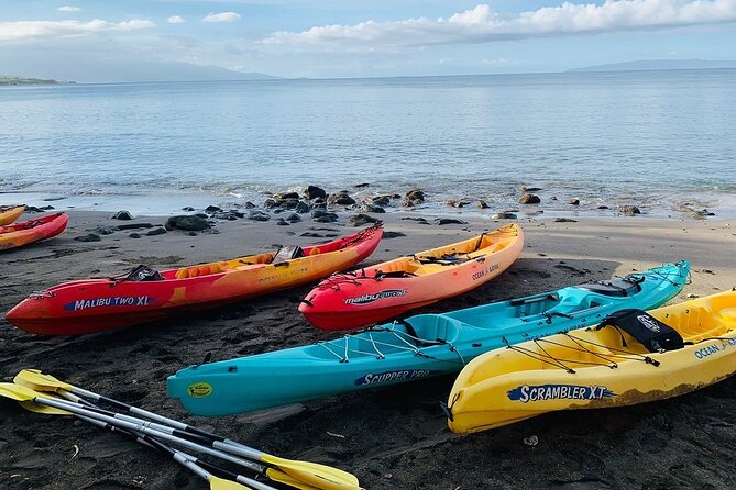 Kayak and Snorkel: Maui West Shore - What’s included in the price (and what you should budget for)