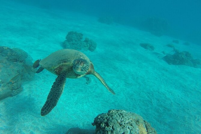 Kayak and Snorkel: Maui West Shore - Safety, pacing, and how to plan for a smooth outing