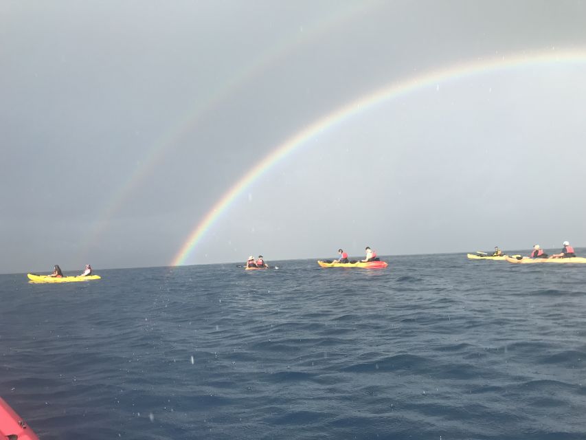 Kayak and Snorkel West Maui at Olowalu - Key moments worth knowing before you go