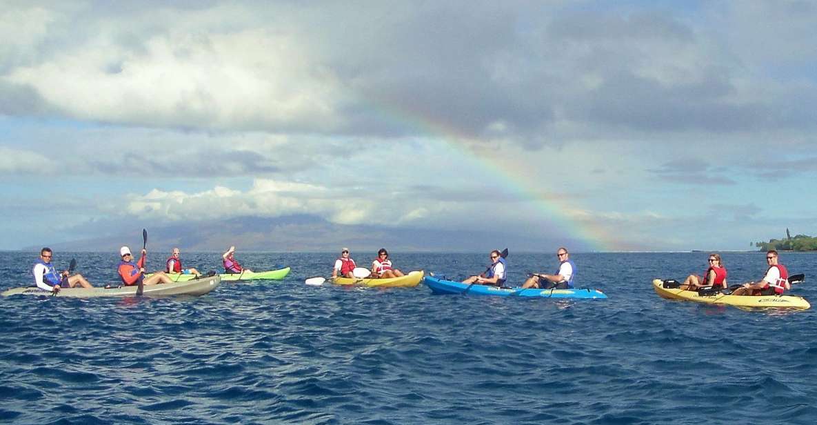 Kayak and Snorkel West Maui at Olowalu - Olowalu’s two-part magic: turtles first, whales if they’re in the mood