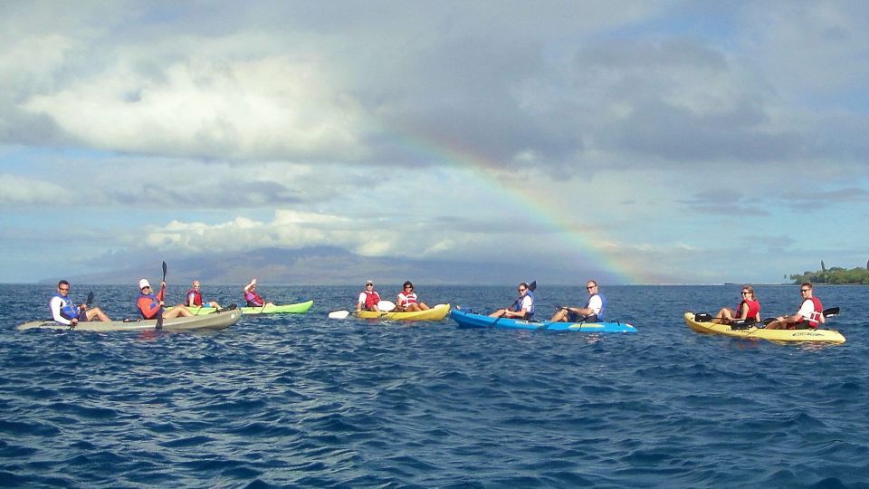 Kayak and Snorkel West Maui at Olowalu - The snorkeling target: sea turtles at the turtle cleaning station